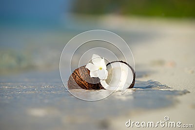 Opened coconut on the sandy beach of tropical island Stock Photo