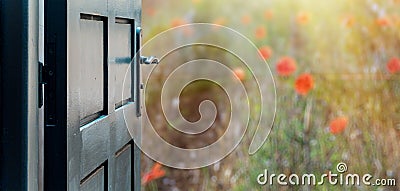 Opened door concept to beautiful and imaginary poppies field Stock Photo