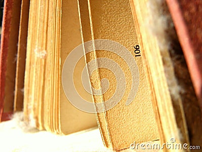Opened dusty book Stock Photo