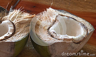 Opened fresh coconut fruit in two halves, partial green external thick peel view Stock Photo