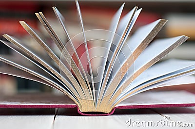 Opened golden book Stock Photo