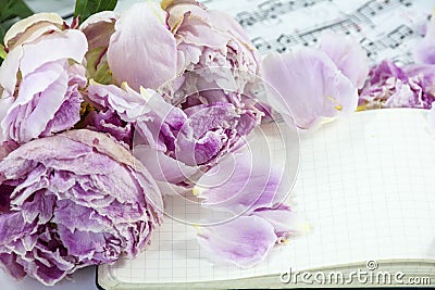 Opened notebook with pink withered peonies Stock Photo