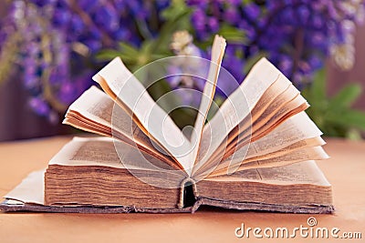 Opened old book Stock Photo