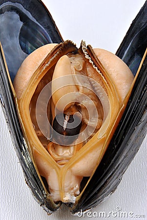 Opened organic mussel ready to eat Stock Photo
