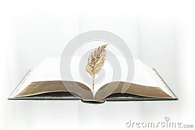 opened thick book levitating on white background, with a golden leaf Stock Photo