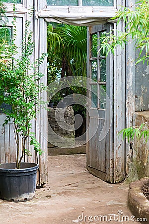Opened vintage wooden door to green garden Stock Photo