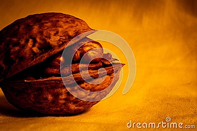 Opened walnut close-up view Stock Photo