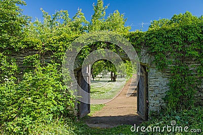 Opened wooden gate covered by green climbing plant Stock Photo