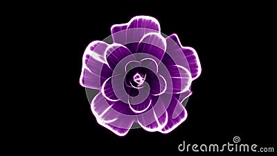 Opening Long Blooming Purple Flower Time-lapse 3d Animation Isolated on Background New Quality Beautiful Holiday Natural Stock Video - Video of honey, petals: 114920019 Opening Long Blooming Purple Flower Time-lapse 3d Animation Isolated on Background New Quality Beautiful Holiday Natural Stock Video - Video of honey, petals: 114920019