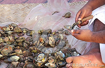 Opening of pearl oyster by skill pearler Stock Photo