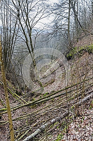 Opening views of the Karoliniskes Landscape Reserve Stock Photo