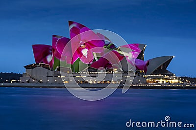 Sydney Opera House night illumination Sydney Australia Editorial Stock Photo