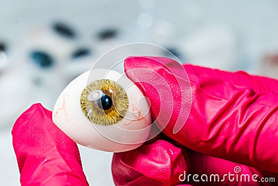 Ophthalmologist or surgeon holds an eye, eyeball prosthesis in hands Stock Photo