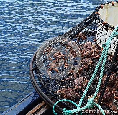 Opilio Crab Fishing in Alaska Stock Photo