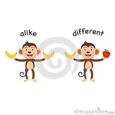 Opposite alike and different Vector Illustration