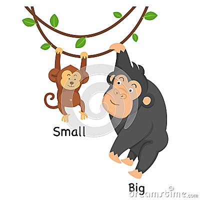 Opposite big and small Vector Illustration