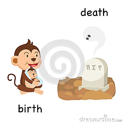 Opposite birth and death illustration Vector Illustration