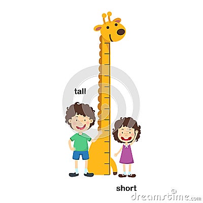 Opposite tall and short Vector Illustration