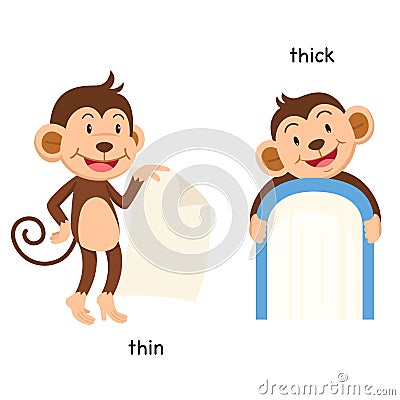 Opposite thin and thick Vector Illustration