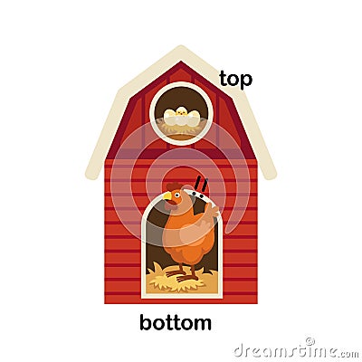 Opposite words bottom and top Vector Illustration