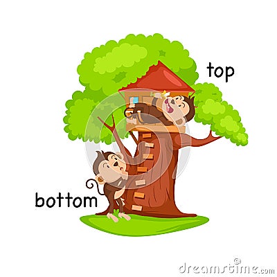 Opposite words bottom and top vector Vector Illustration