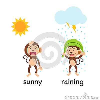 Opposite words sunny and raining vector Vector Illustration