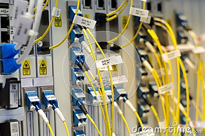The optical fiber connect to card equipment are used in telecommunication.select focus Stock Photo