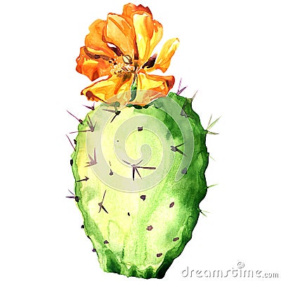 Opuntia cactus with yellow flower, watercolor Stock Photo