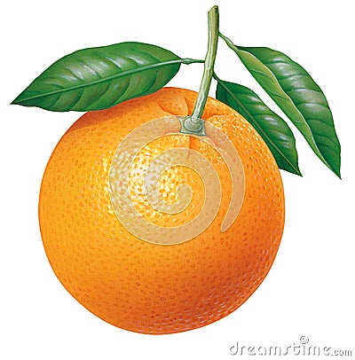 Orange Cartoon Illustration