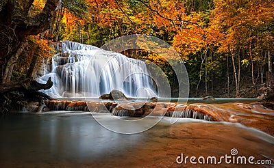 Orange autumn leaves on trees in forest and mountain river flows Stock Photo