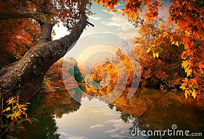 Orange autumn on river Stock Photo