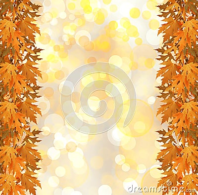 Orange autumnal branch of tree on abstract background Stock Photo