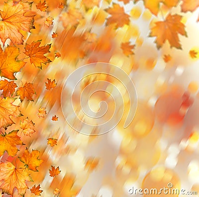 Orange autumnal branch of tree on abstract background Stock Photo