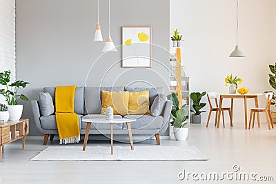 Orange blanket on grey sofa in modern apartment interior with po Stock Photo