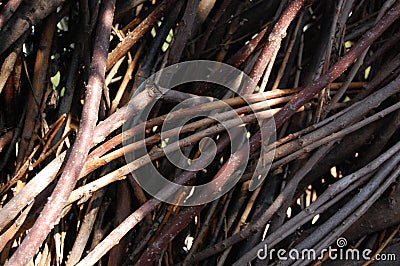 willow branches sculpture, witch hatch, castle, in sun set Stock Photo