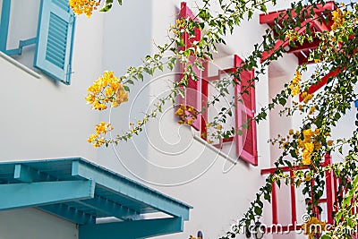 Orange bougainvillea, paper flowers on background of color window Stock Photo