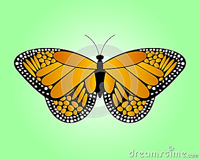 Orange butterfly Vector Illustration