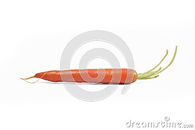 Orange carrot Stock Photo