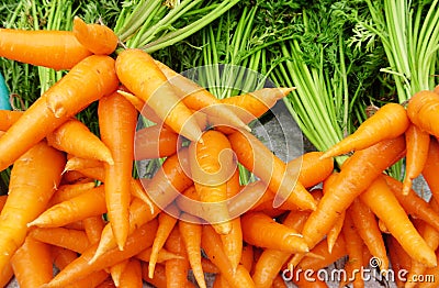 Orange Carrots Stock Photo