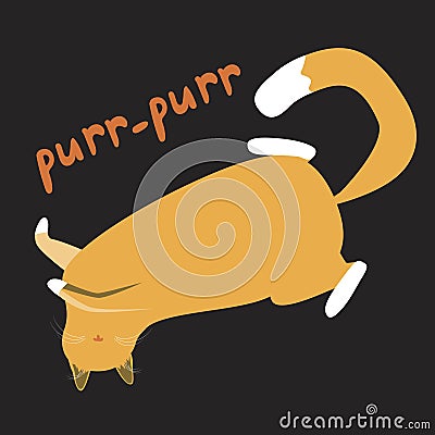 An orange cat lies on its back and lettering with the text purr-purr is isolated on a black background for design, a Scandinavian Vector Illustration