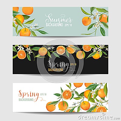 Orange Citrus Floral Banners and Tags Set Vector Illustration