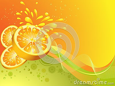 Orange citrus fruit. Vector Illustration