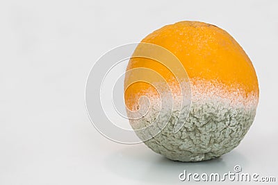 Orange citrus fruit, partially decomposed / rotting, on white background. Stock Photo