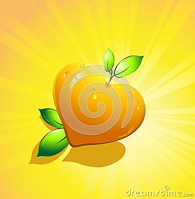 Orange citrus fruits in the form of heart Vector Illustration