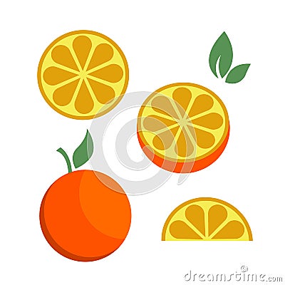 Orange citrus parts set half fruit icon bright art vector Vector Illustration