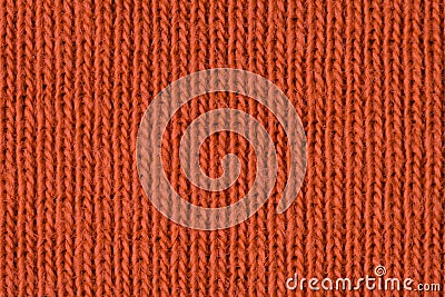 Orange Cotton close up Stock Photo