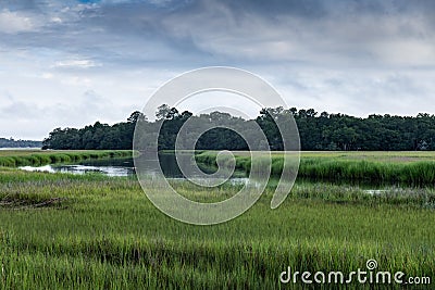Orange crab buoy floats in the waterway of a salt marsh, early morning Mount Pleasant South Carolina Stock Photo
