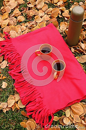 Orange cups with black tea and thermos bottle on red carpet and green grass and fallen leaves. Stock Photo