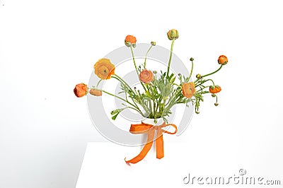 Orange Dutch Flowers Stock Photo