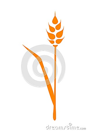 Orange ears of wheat. Vector illustration on white isolated background Vector Illustration